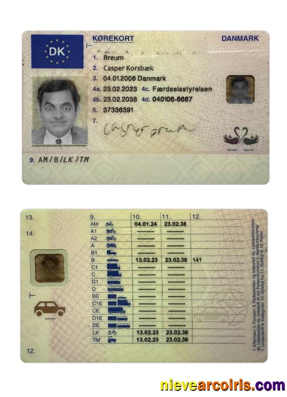 Denmark Driving License 2023 Present Preview
