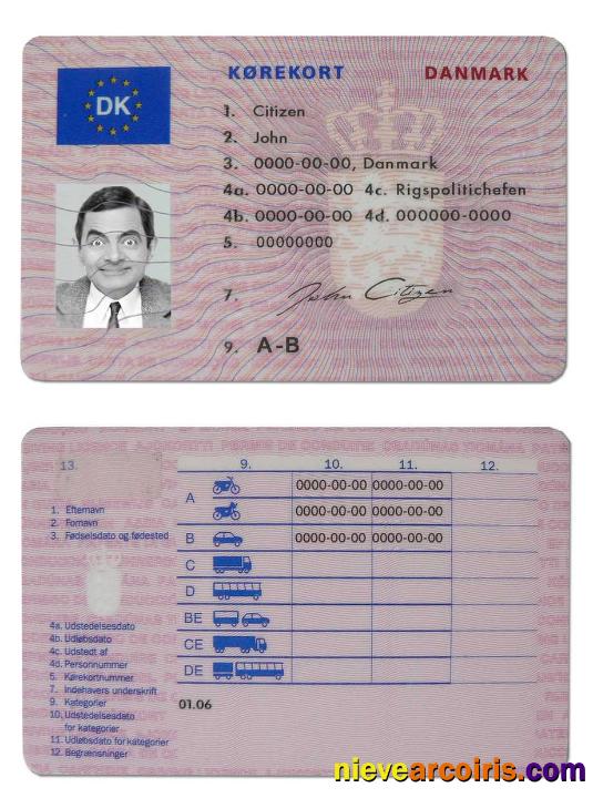 Premium Denmark Driving License Template In PSD Format,fully E Ditable(19972013)