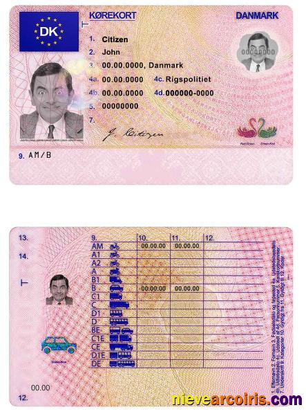Denmark Driving License Photolook