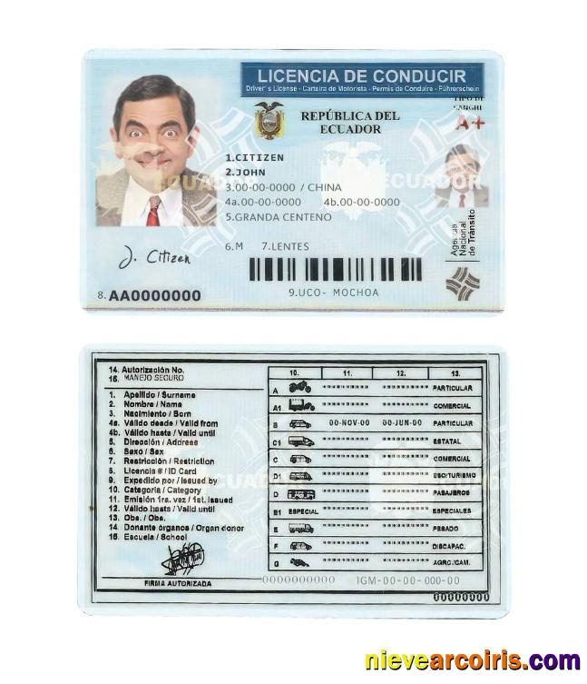 Ecuador Driving License Template