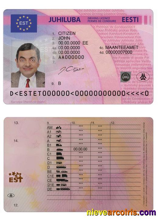 Estonia Driving License Sample