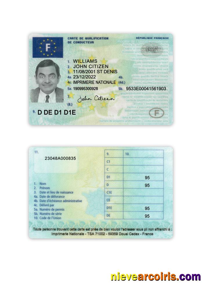 France Driving License 2022 Present Template