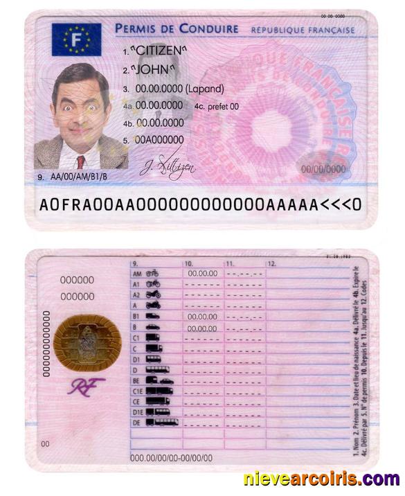 France Driving License Photolook