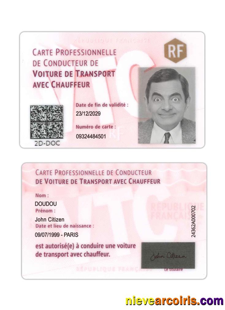 France Professional Driver's Card Preview