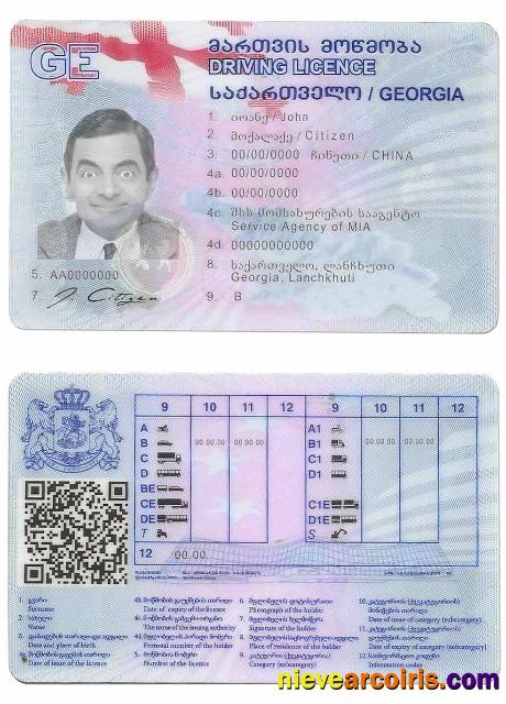 Georgia Driving License Template