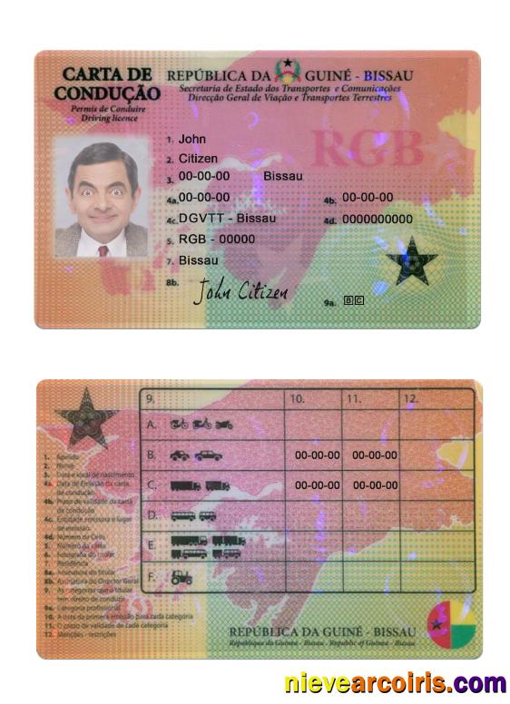 Guine Bissau Driving License Photolook