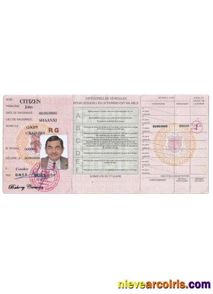 Guinea Driving License Template