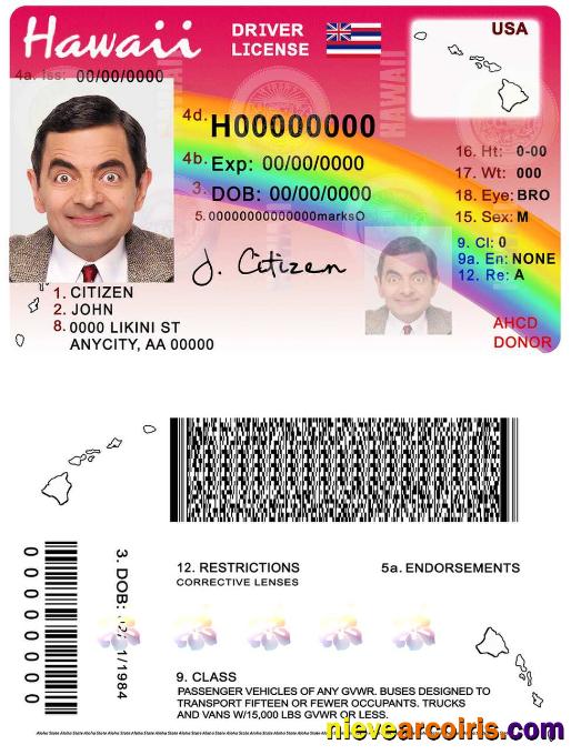 Hawaii Driving License Sample