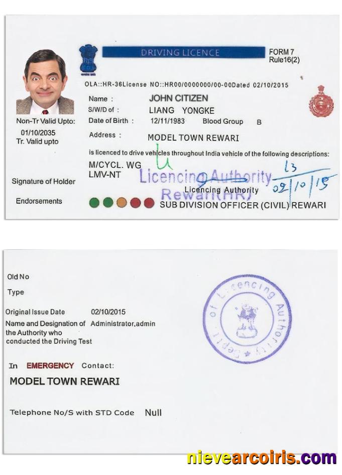 INDIA Driving License Version 5 Photolook
