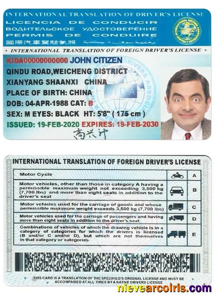 INTERNATIONAL TRANSLATION OF DRIVERS LICENSE Photolook