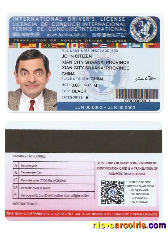 INTERNATIONALdl (version2) Sample