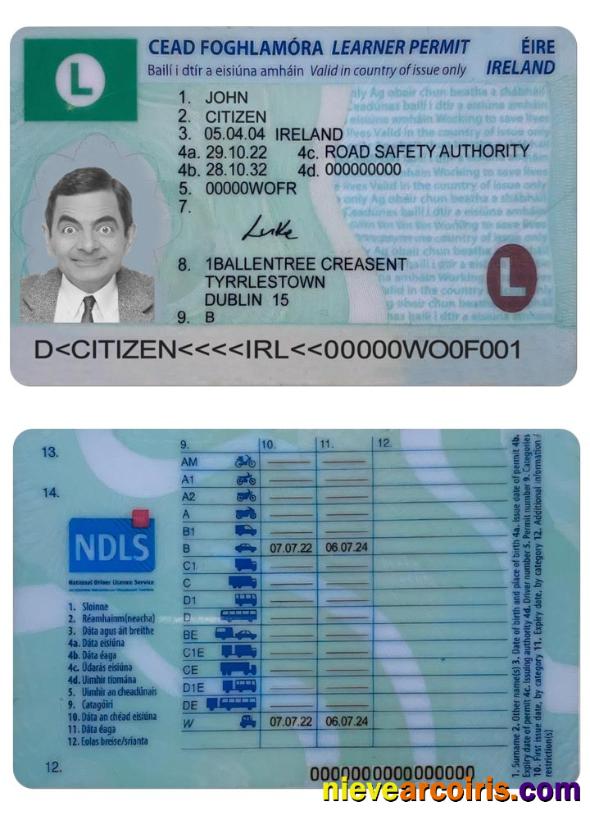 IRELAND Driving License (learner Permit) 2022 Present Template