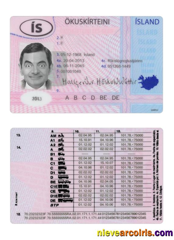 Iceland Driving License 2013 Present Template