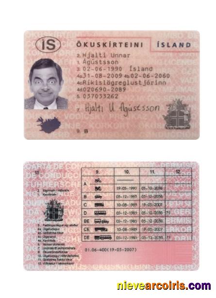 Iceland Driving License Preview