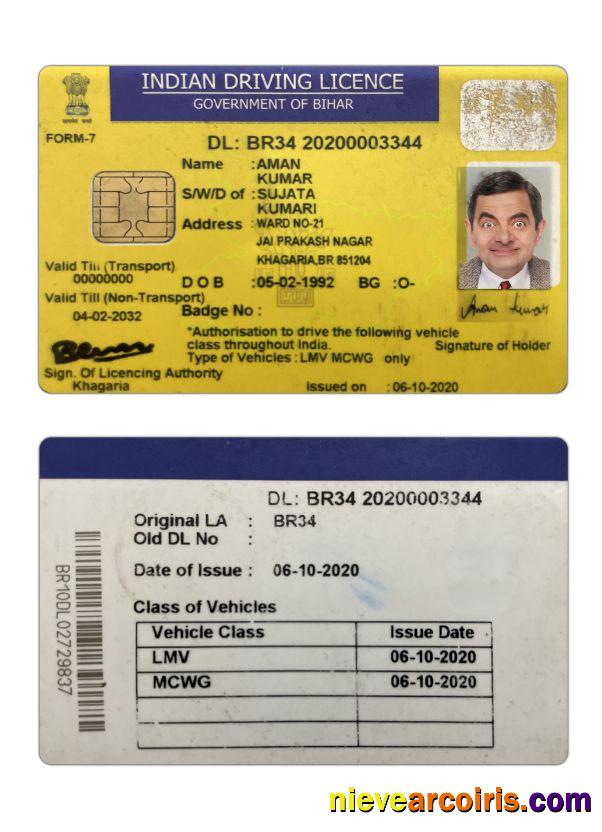 India Bihar State Driving License Sample
