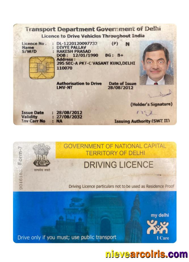 India Delhi Driving License Template