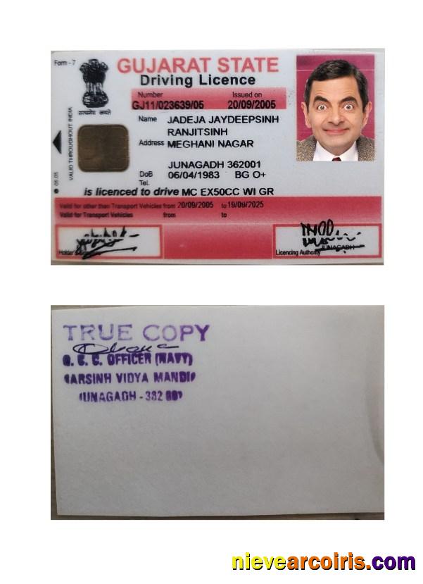 India Gujarat State Driving License Preview