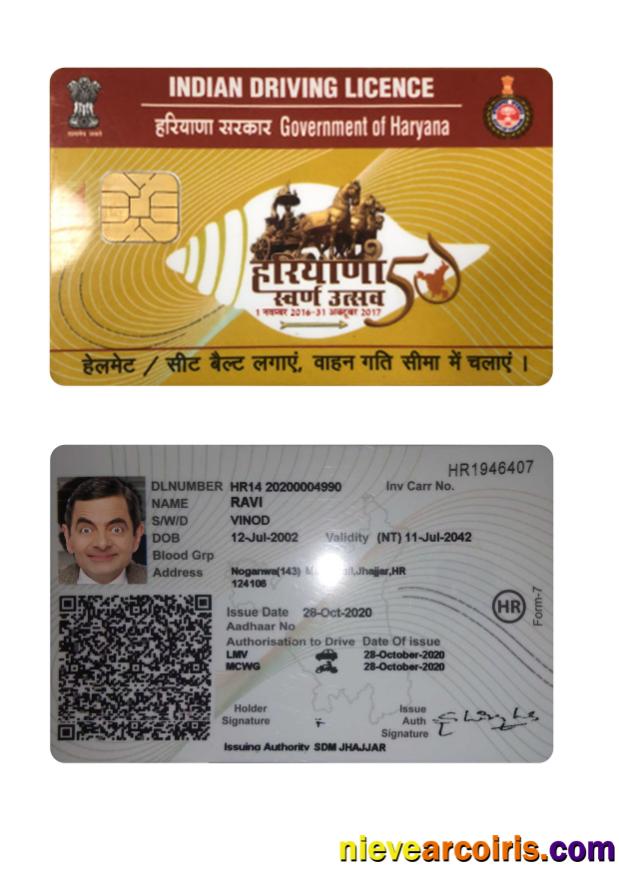 India Haryana State Driving License Sample