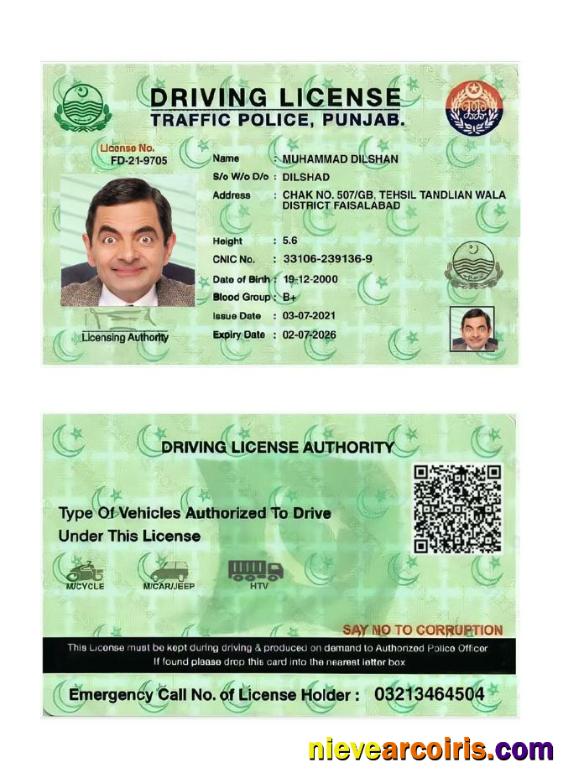 India Punjab Driving License 2021 Present Preview