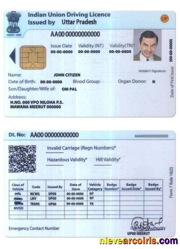 India Union Driving License Preview