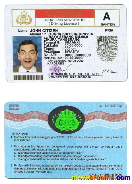 Indonesia Driving License Preview
