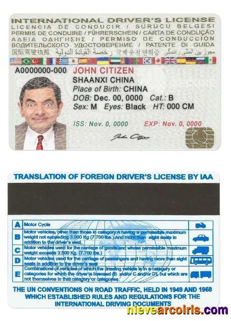 International Driver’s License Template