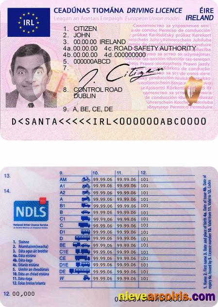 Ireland Driving License Sample