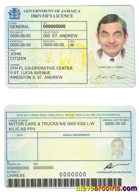 Jamaica Driving License Sample