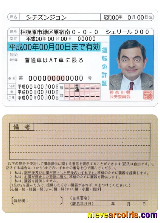 Japan Driving License Version 2 Sample