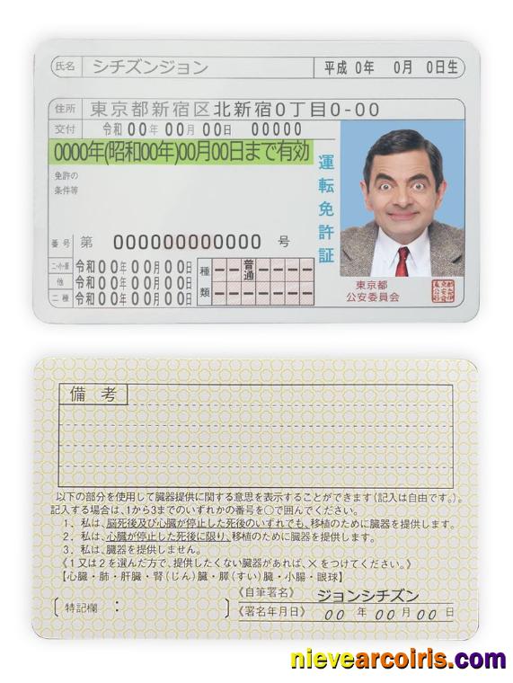 Japan Driving License Sample