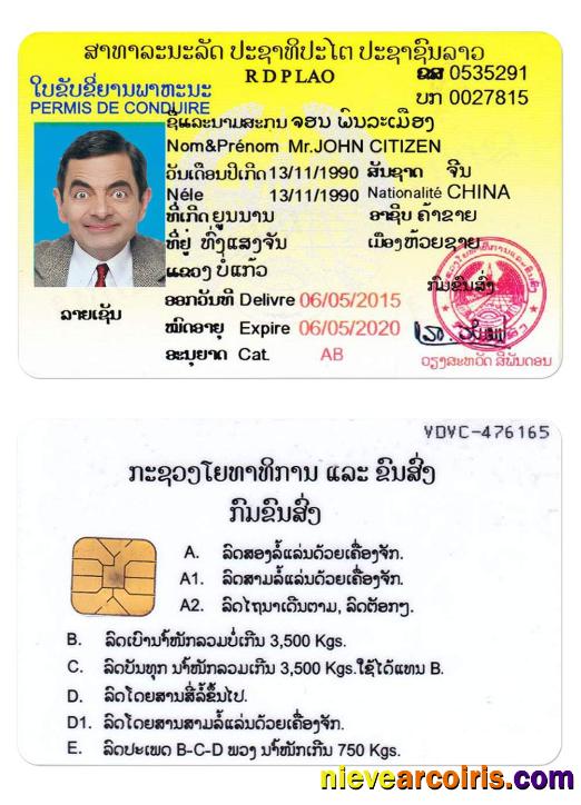 LAOS Driving License Preview