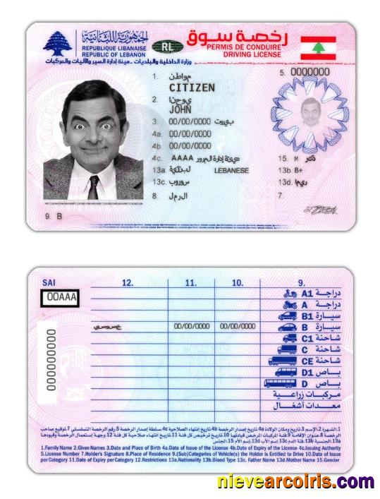 Lebanon Driving License Preview