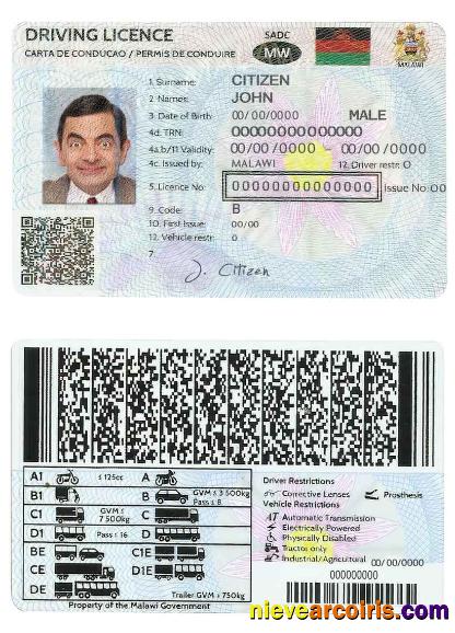 Malawi Driving License Photolook