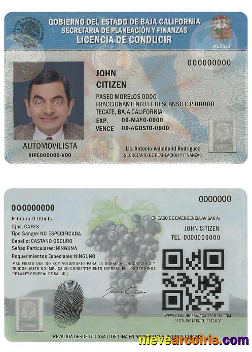 Mexico Baja California Driving License Sample