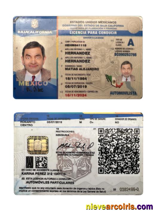 Mexico Baja California State Driving License Template