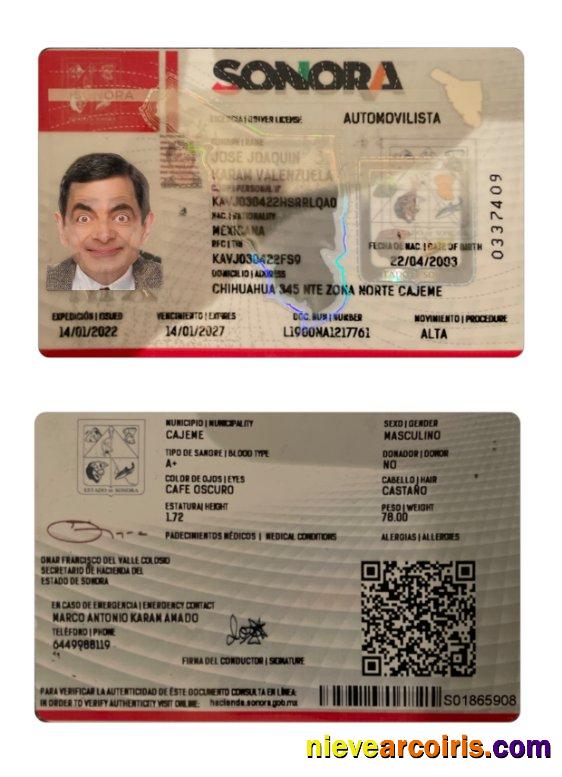 Mexico Sonora State Driving License Sample