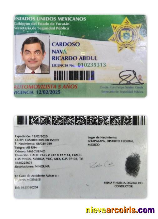 Mexico Yucatan State Driving License Sample