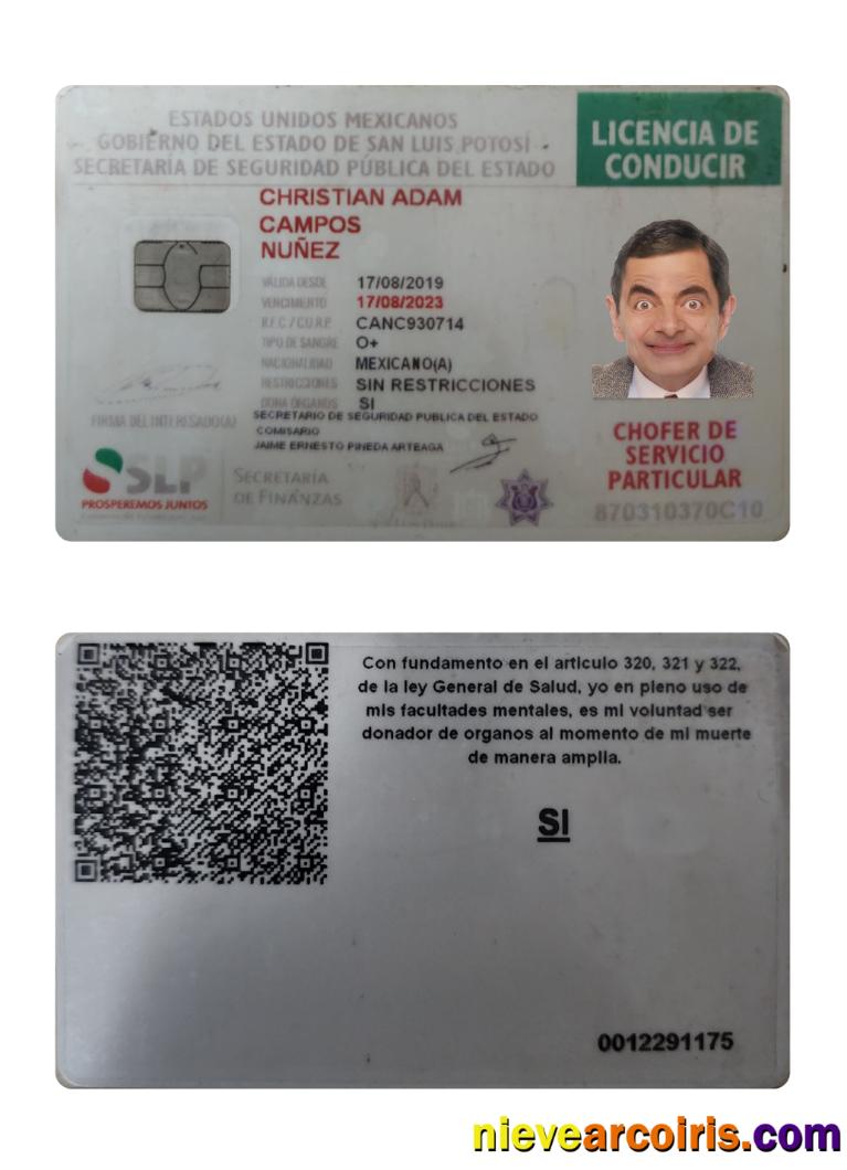 Mexico Driving License 2019 Present Photolook