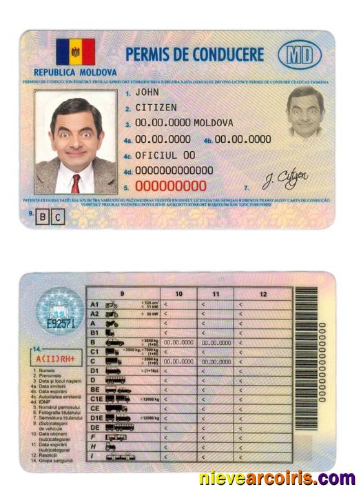 Moldova Driver License Template
