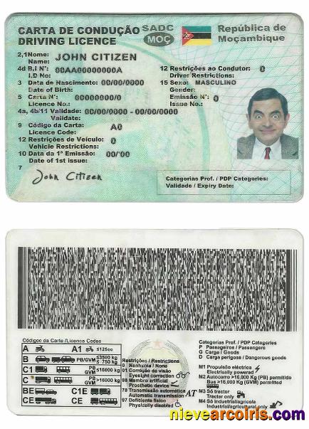 Mozambique Driving License Preview
