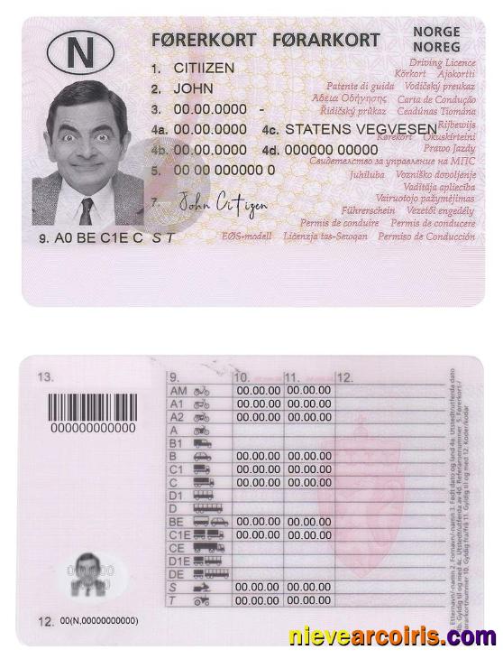 Premium Norway Driving License Template,fully Editable(2013present)