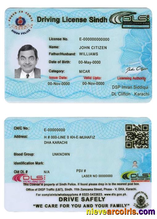 Pakistan Sindh Province Driving License (2016 Present) Sample
