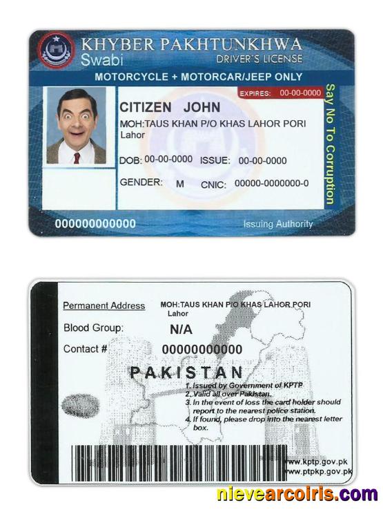 Pakistan Driver License Preview