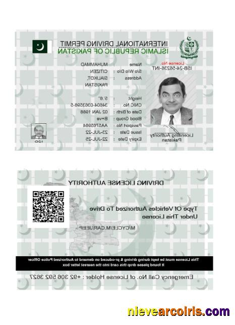 Pakistan International Driving License 2022 Present Preview