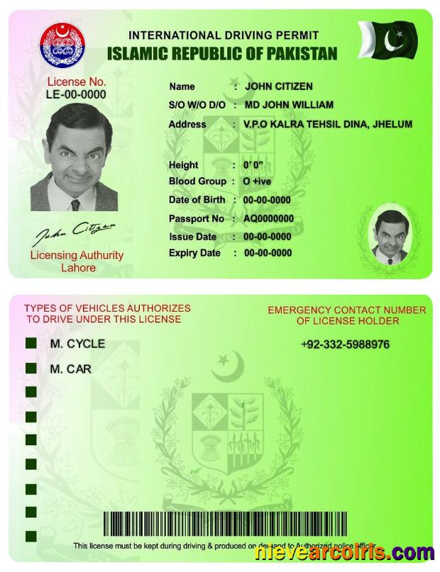 Pakistan International Driving Permit Preview