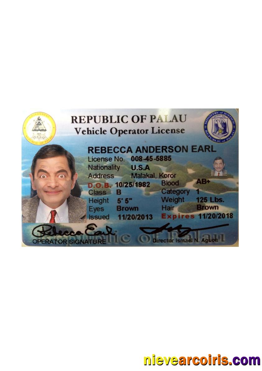 Palau Driving License Front Side Template