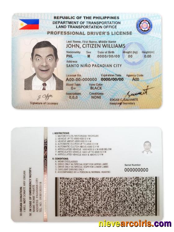 Philippines Driving License Preview