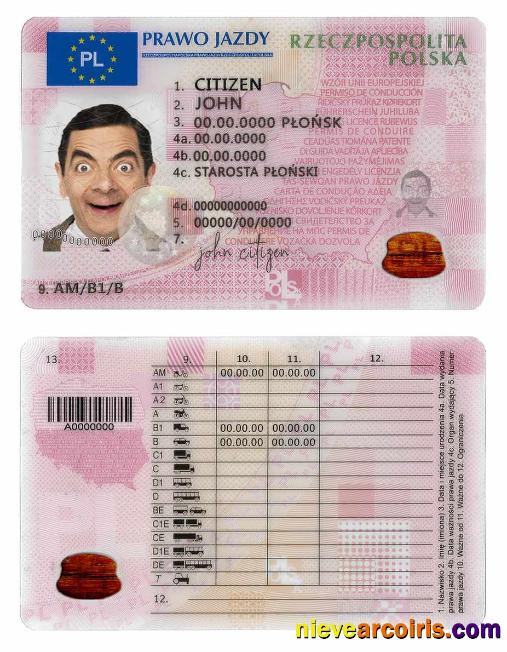 Professional Poland Driving License Template In PSD Format,fully Editable,2019 Present