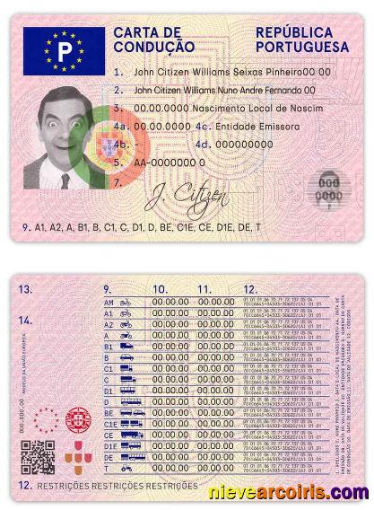 Portugal Driving License Template