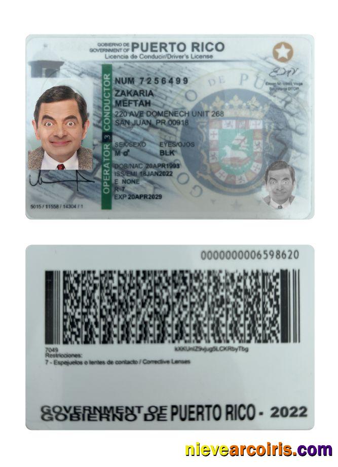 Puerto Rico Driving License 2022 Present Template